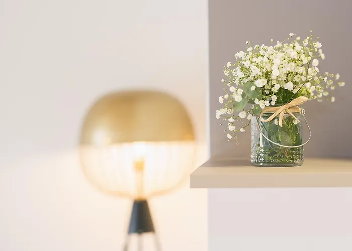 Flateli -placa Catalunya 3-2 * Жерона